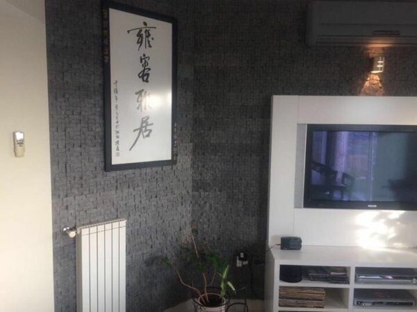 Travelite Gris - Interior y Exterior - Piedras para Fachadas